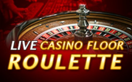 Book Of Ra Online Kasino Brd