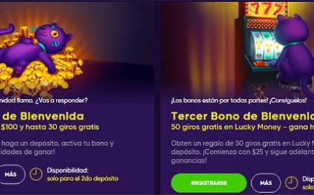 Zodiac Casino Canada  80 Totally free Revolves To own $step 1 Deposit