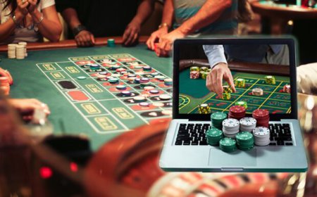 Kiwi Online casinos Best Kiwi Pokies Within the Nz 2023