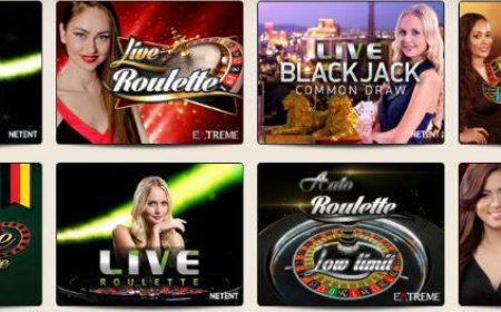 Online Pokies Gamble On the internet An informed Pokie Game In the Wjpartners Comau