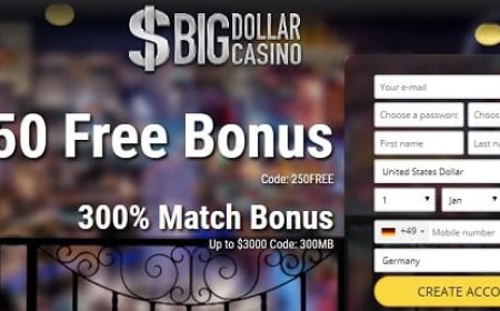 Guide From Ra Deluxe Position Novomatic 100 percent free Gamble And you will Review